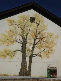 趁紅楓銀杏未落，走一趟莫干山蔣公古道吧！