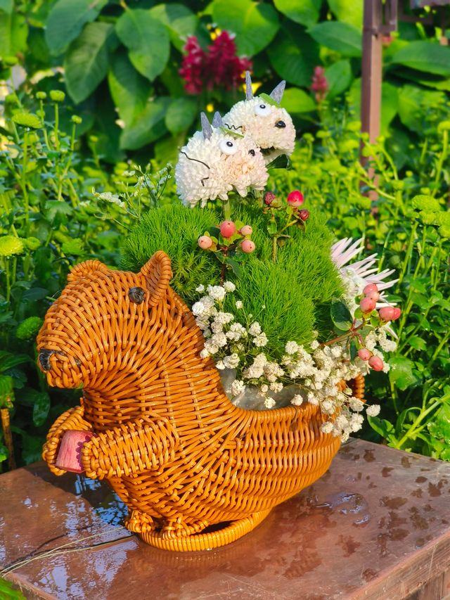 12月去南寧青秀山保姆級攻略 12月去南寧青秀山保姆級攻略