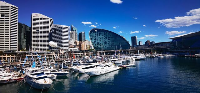 浪漫海港漫步指南