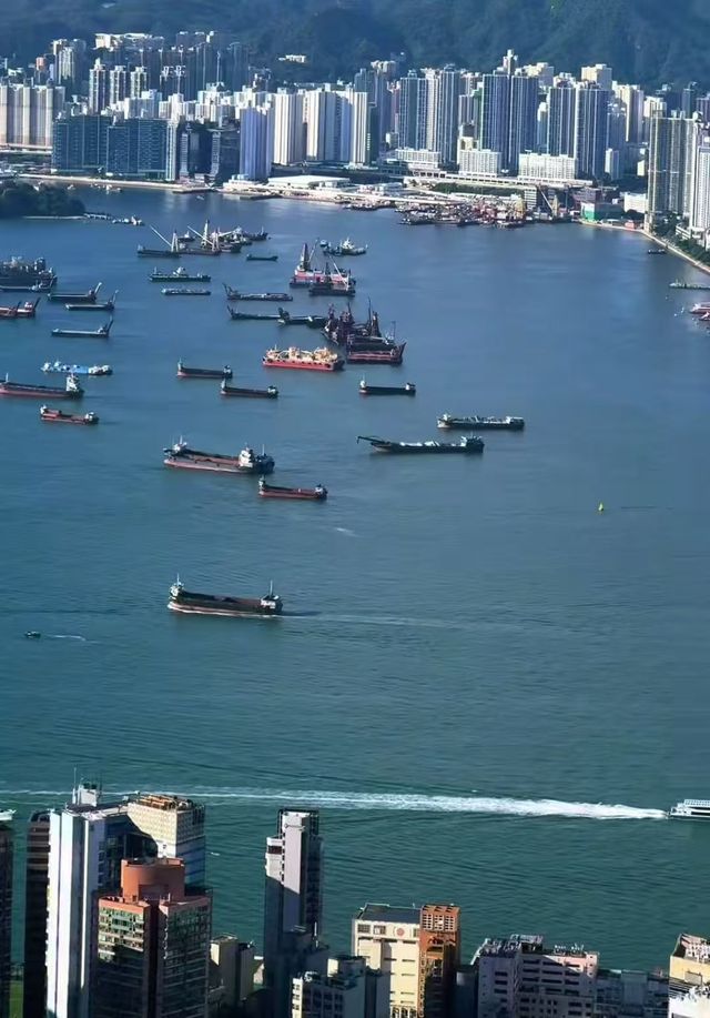 香港|這三種玩法,你更愛哪種呢? 香港|這三種玩法,你更愛哪種呢?