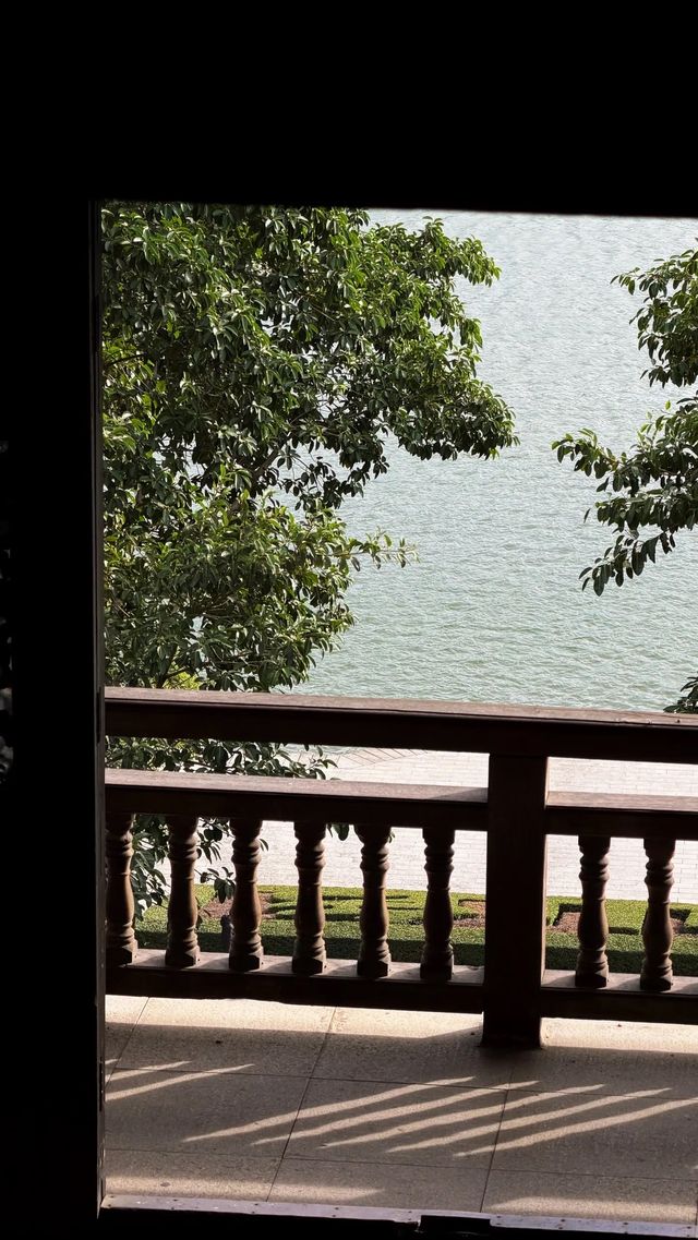 西湖邊隱秘觀景台，一些西湖的其他角度