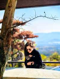 宜興神仙酒店！懸崖房+寵物友好！住到不想走