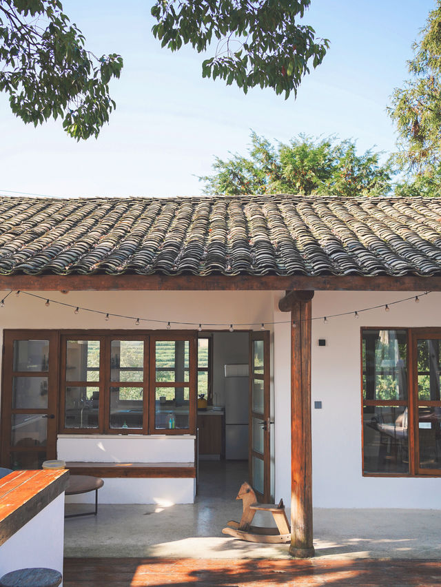 雅安遛娃 |包個院子煮茶烤紅薯泡私湯 雅安遛娃 |包個院子煮茶烤紅薯泡私湯