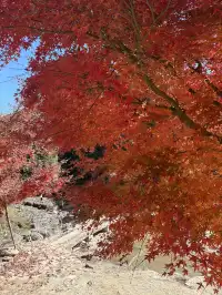 不是京都!實況無調色