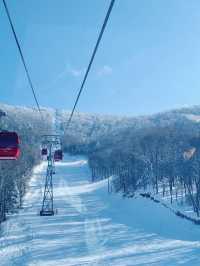 北大湖滑雪避坑指南 美景天堂≠新手友好,慎入!