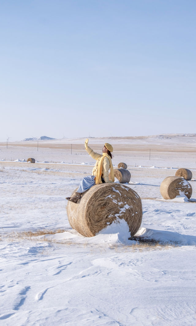 以為夏天的呼倫貝爾夠美了沒想到冬季依舊封神 以為夏天的呼倫貝爾夠美了沒想到冬季依舊封神