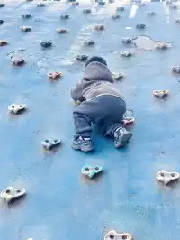 西安周邊藏著童話紅杉林隨手一拍直接封神