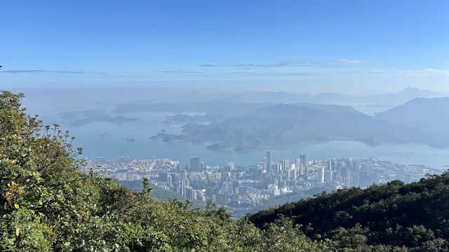 偶遇梧桐日落 偶遇梧桐日落