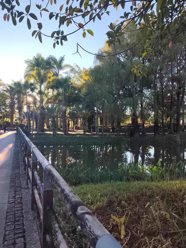 深秋漫步普洱,邂逅人間絕美湖畔秘境 深秋漫步普洱,邂逅人間絕美湖畔秘境