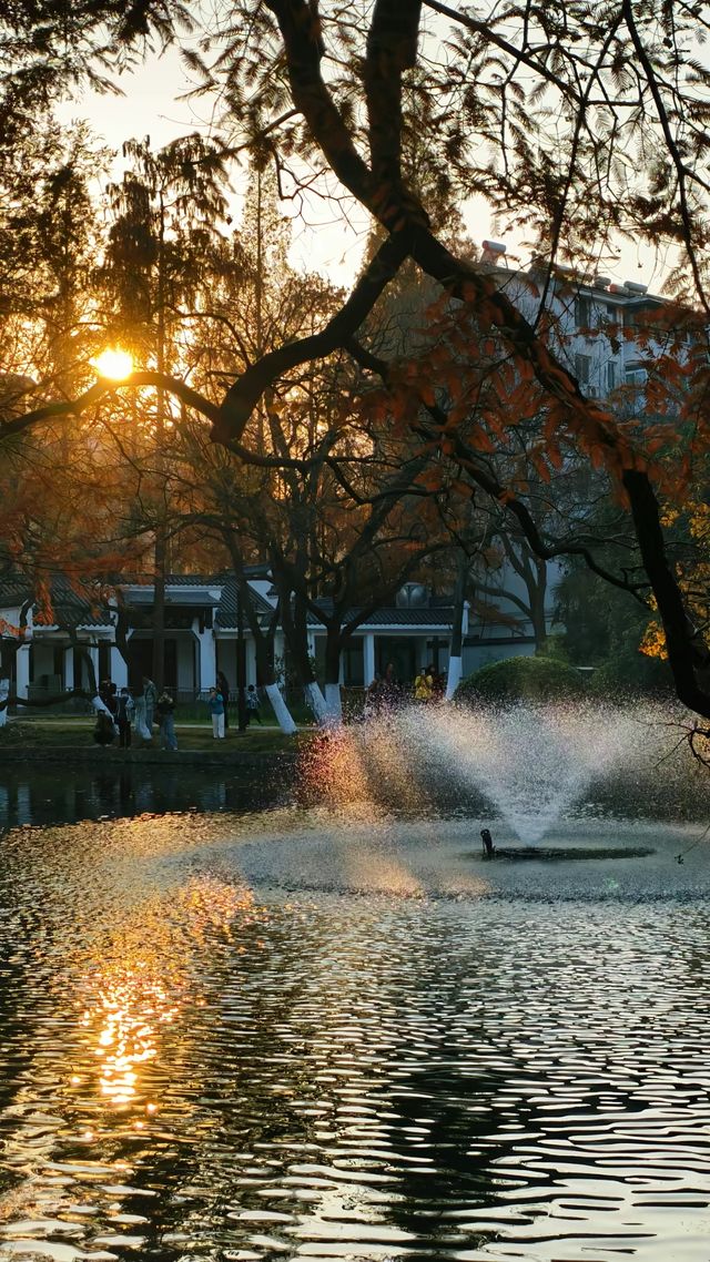 深秋限定合肥逍遙津的絕美金色童話 深秋限定合肥逍遙津的絕美金色童話