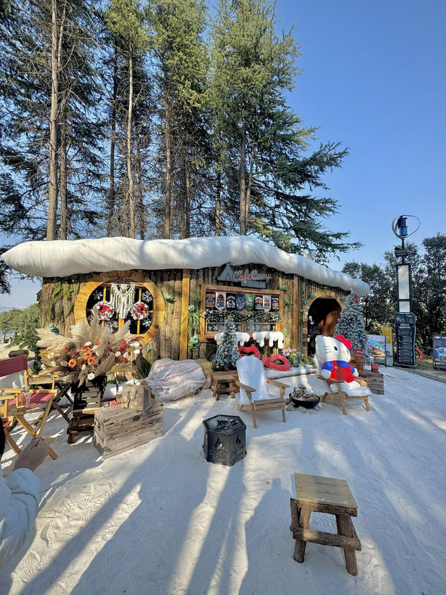 洛陽雪景咖啡封神!在洛陽也能解鎖飄雪浪漫 洛陽雪景咖啡封神!在洛陽也能解鎖飄雪浪漫