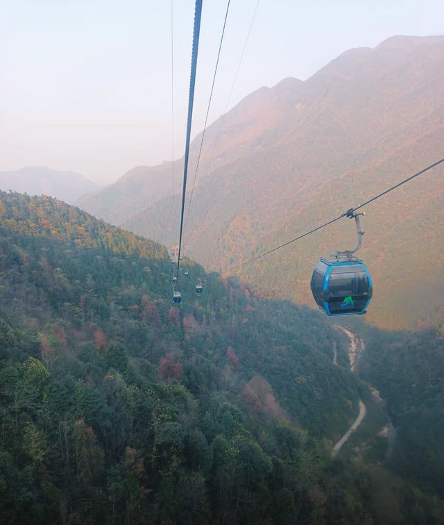 莽山五指峰保姆級攻略雲端漫步,全家輕鬆遊! 莽山五指峰保姆級攻略雲端漫步,全家輕鬆遊!