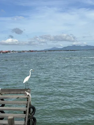 Semporna Island Hopping Route Chosen Right