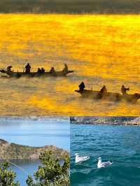 “瀘沽湖晨霧，彷彿一場盛大的油畫展”