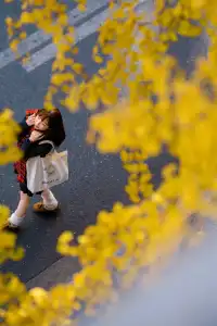 局門路街頭的秋意