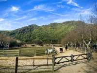 冬天的裸心谷很溫暖