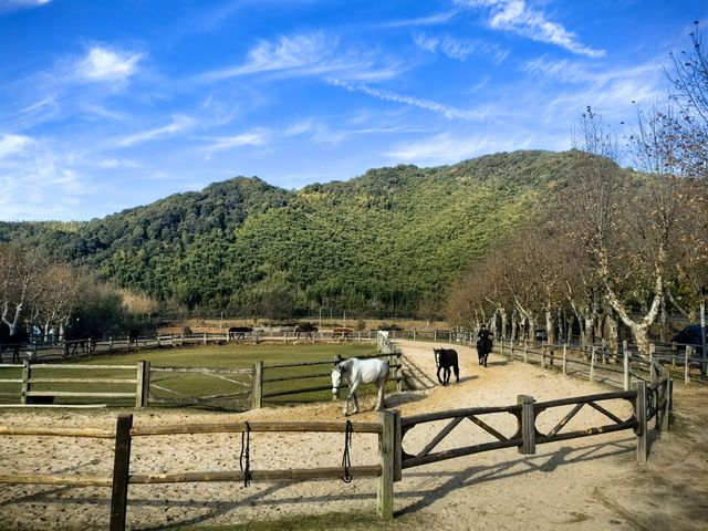 冬天的裸心谷很溫暖 冬天的裸心谷很溫暖