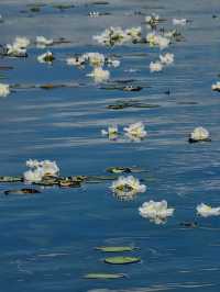 瀘沽湖一日遊精華路線