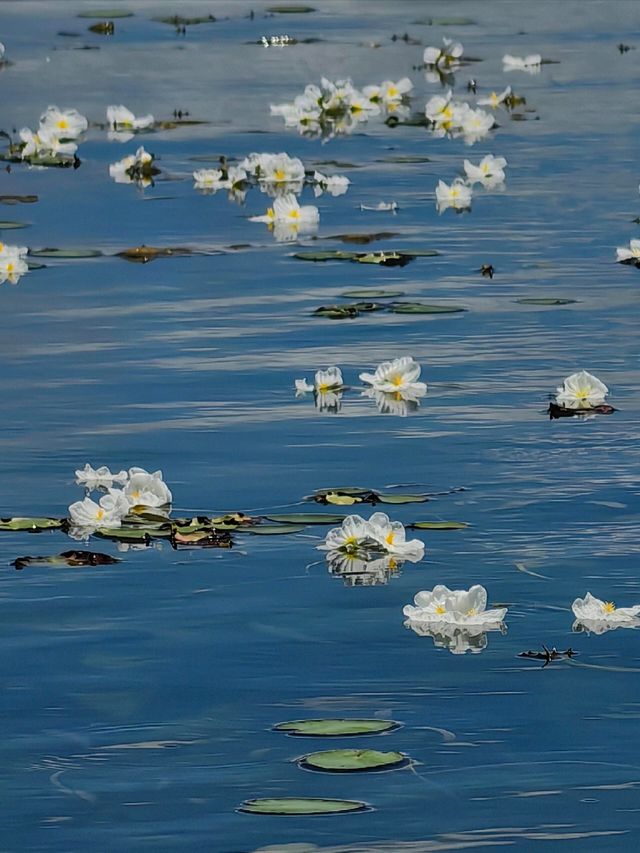 瀘沽湖一日遊精華路線 瀘沽湖一日遊精華路線