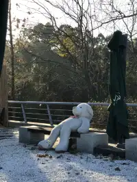 湖州我真要愛上你了...