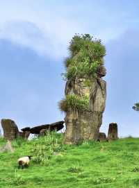 私享路線3-新西蘭北島人不多