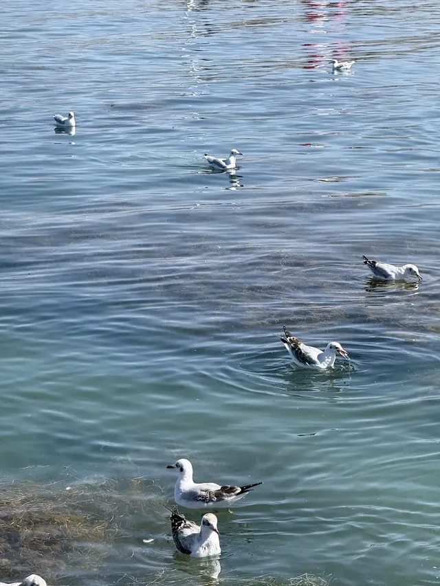 海航666北京出發 | 青海三日遊|精品攻略 海航666北京出發 | 青海三日遊|精品攻略