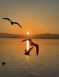 昆明環湖新南路日出 | 美到心醉