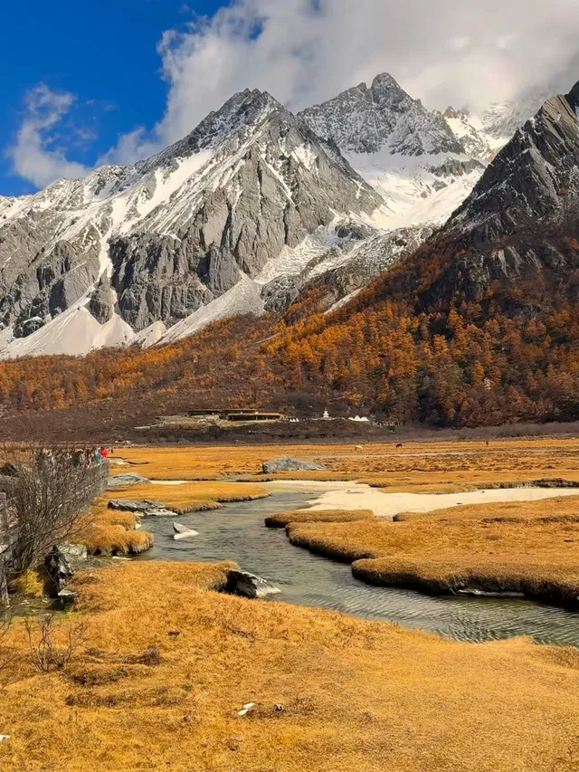 淡季稻城現狀！保姆級攻略（熬夜總結）