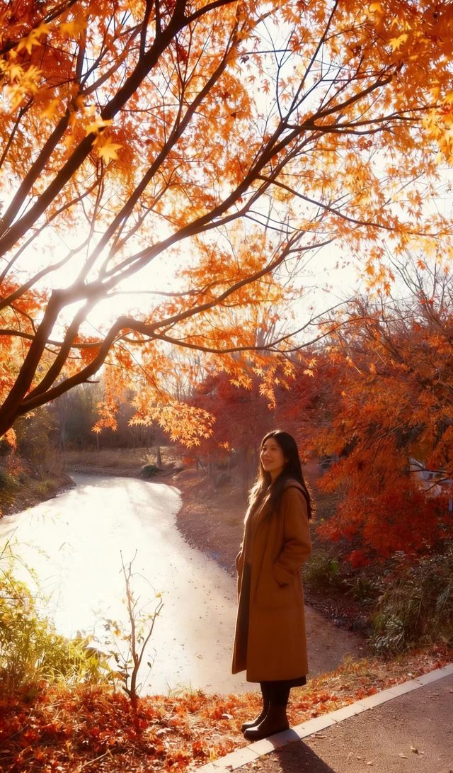 魔都絕美賞秋地!花開海上生態園治癒系深秋大片拍攝攻略 魔都絕美賞秋地!花開海上生態園治癒系深秋大片拍攝攻略