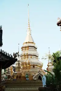 中科院植物園拍照YYDS