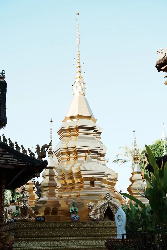 中科院植物園拍照YYDS 中科院植物園拍照YYDS