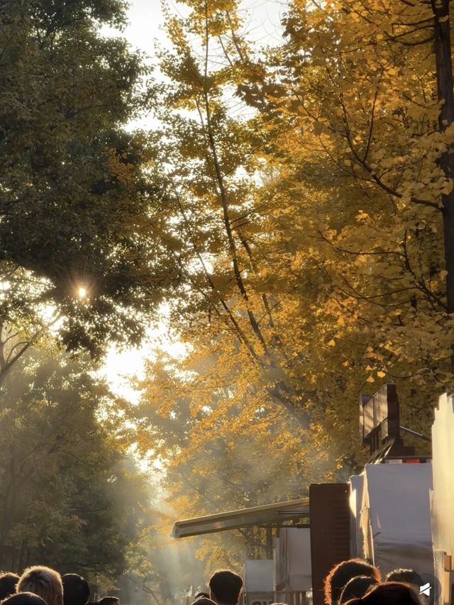 解鎖不撞款的暖冬浪漫 解鎖不撞款的暖冬浪漫