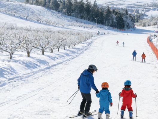 Wuling Farm Ski Slope: Ski & Farm Fun – Taiwan’s Coziest Winter Combo!