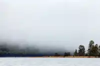 什麼!原來塔斯馬尼亞的鴨嘴獸都在這!!