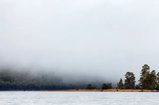什麼!原來塔斯馬尼亞的鴨嘴獸都在這!! 什麼!原來塔斯馬尼亞的鴨嘴獸都在這!!