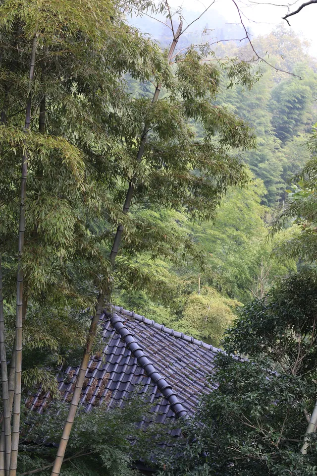揚州自駕莫干山一日半｜避坑+驚喜全攻略