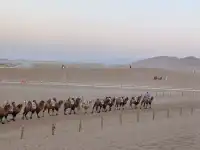 冬天的西北景美人少,必須衝