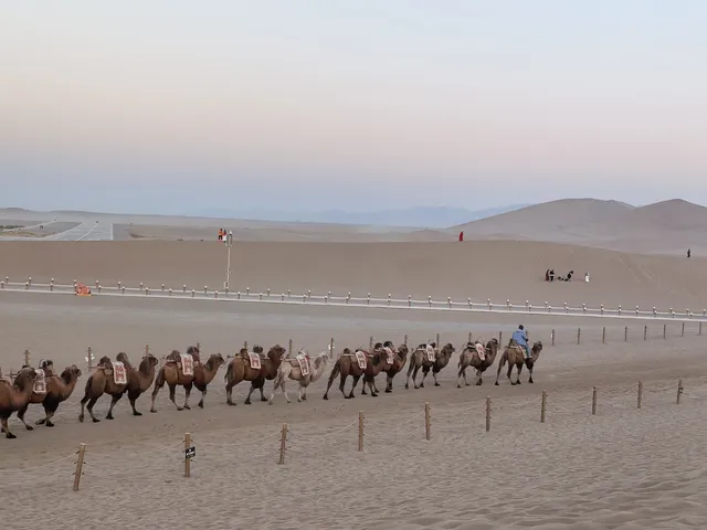 冬天的西北景美人少,必須衝 冬天的西北景美人少,必須衝