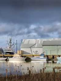 加拿大包車遊冬天限定美景全收