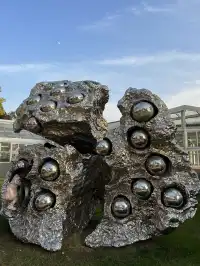 湖北新生旅遊年卡武漢植物園全攻略