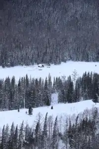 拒絕阿勒泰打卡團！這才是舒服的深度遊！