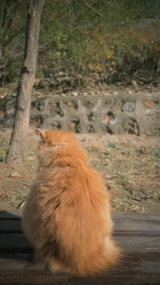 Подвесной храм Хэншань