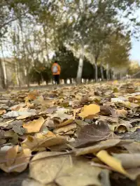 淡季的莫高窟，真香！