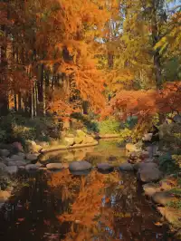 12.6共青森林公園橙黃橘綠時(附路線)