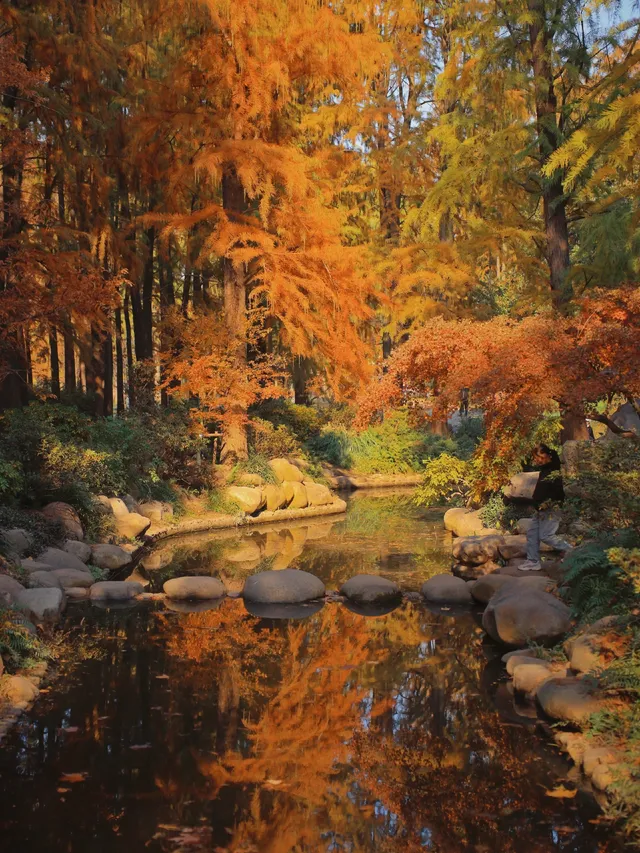 12.6共青森林公園橙黃橘綠時(附路線) 12.6共青森林公園橙黃橘綠時(附路線)