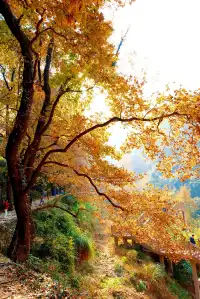 台州賞秋封神4條徒步路線建議收藏~