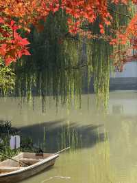 一座公園愛上一座城|我見到駱賓王詩裡的鵝