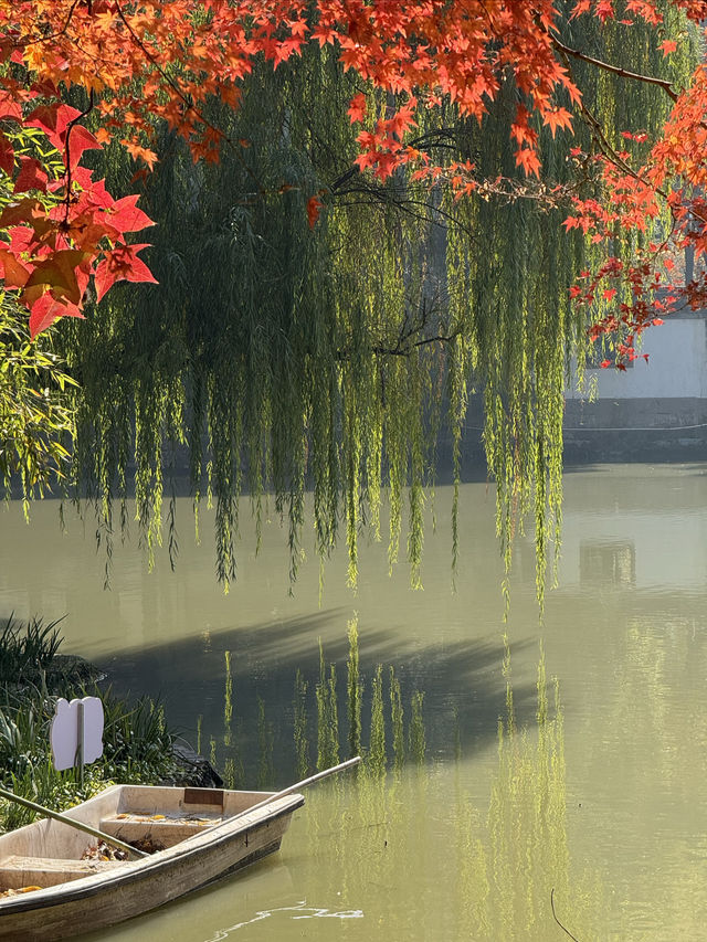 一座公園愛上一座城|我見到駱賓王詩裡的鵝 一座公園愛上一座城|我見到駱賓王詩裡的鵝