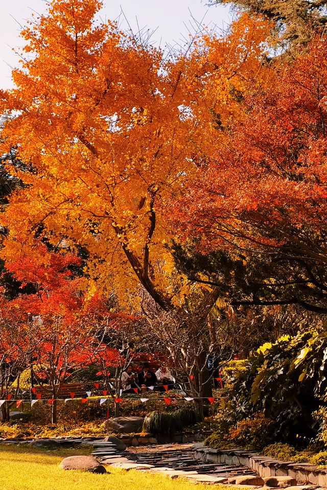 魔都賞秋封神路線!0元拍出大片感 魔都賞秋封神路線!0元拍出大片感