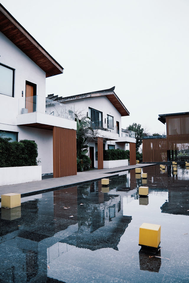 成都周邊1h冬日泡湯+麥田下午茶🫖